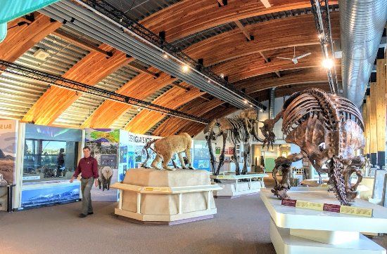 Yukon Beringia Interpretive Centre